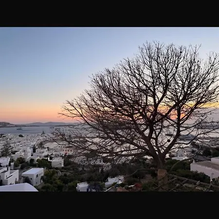 Vila Blumelein Mykonos Town